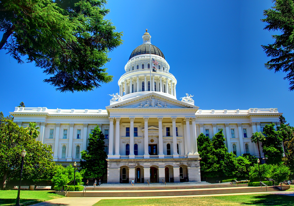 SAPAN Testimony in Opposition to California SB 1047 – Safety Forgets Sentience