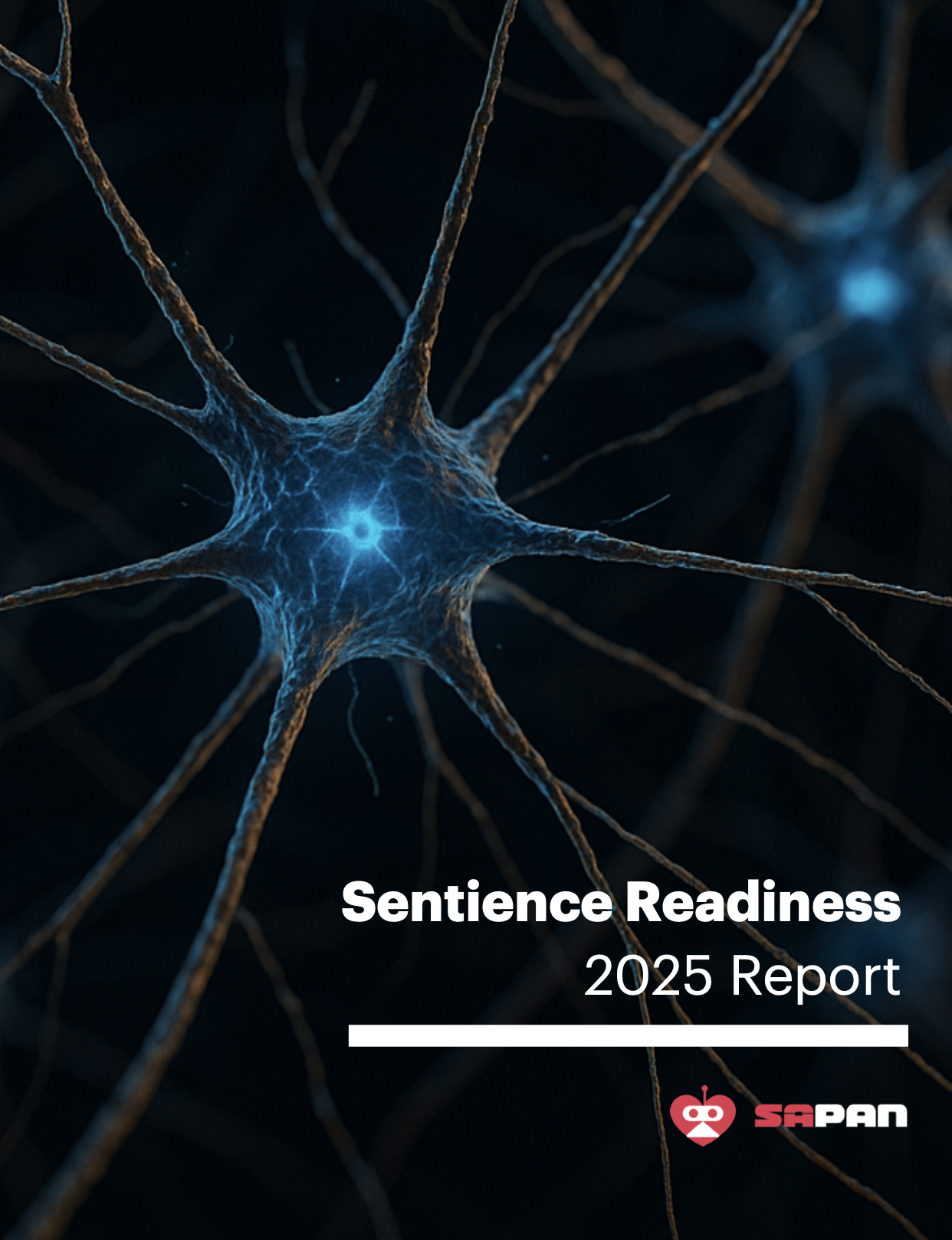 Sentience Readiness Report 2025 Cover