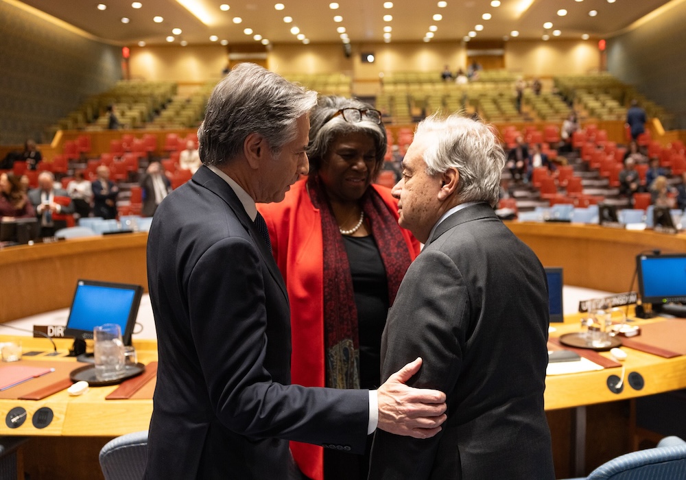 A Seat for Sentience: Why the UN's New Scientific Panel Needs Consciousness Experts